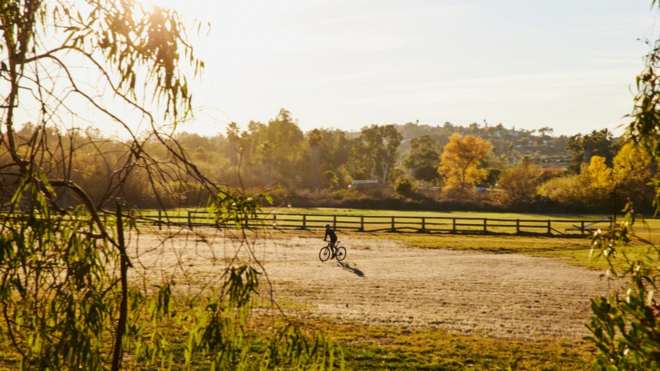 Buy Hybrid Bikes in Melbourne at Casey Cycles Cranbourne