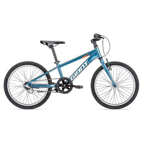 Giant mountain bikes for kids sale