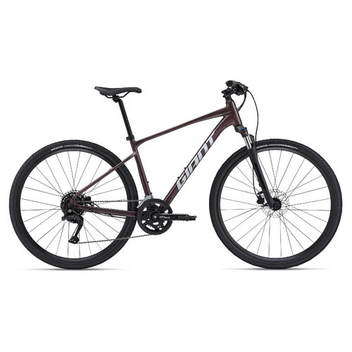 2024 Giant Roam 2 Disc - Charcoal Plum - Small