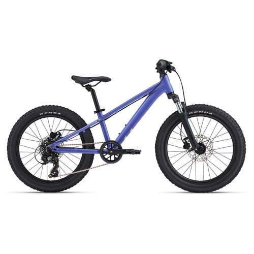 Liv STP 20 FS 20" MTB - Dusted Peri