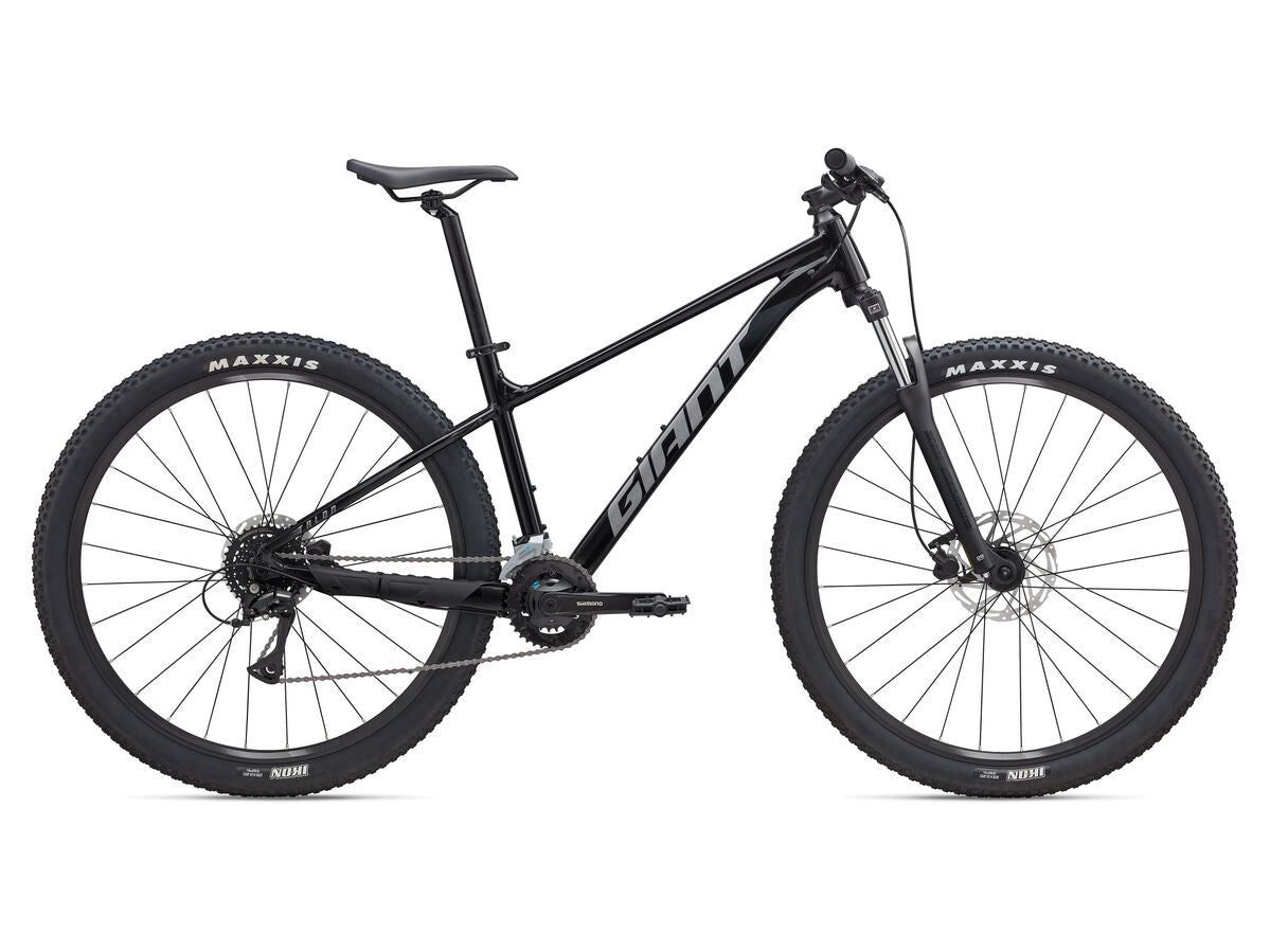 2025 Giant Talon 3 Mountain Bike - Panther