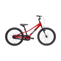 Neo+20 Coaster Boys 20" Bike - Chrome Red