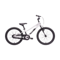 Neo+ 20 Coaster Boys 20" Bike - Brushed Alloy
