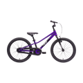 Neo+ 20 Coaster Girls 20" Bike - Chrome Purple