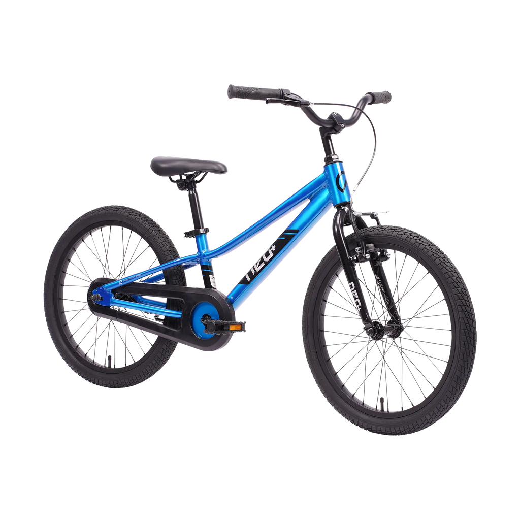 Neo+ 20 Coaster Boys 20" Bike - Chrome Sky Blue