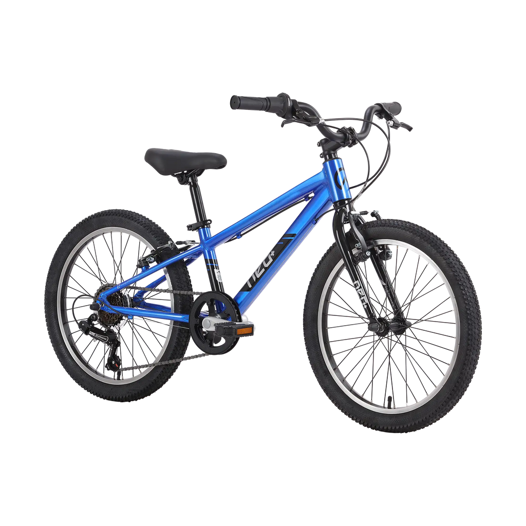 Neo+ 20 Boys 6 Speed 20" Bike - Chrome Blue