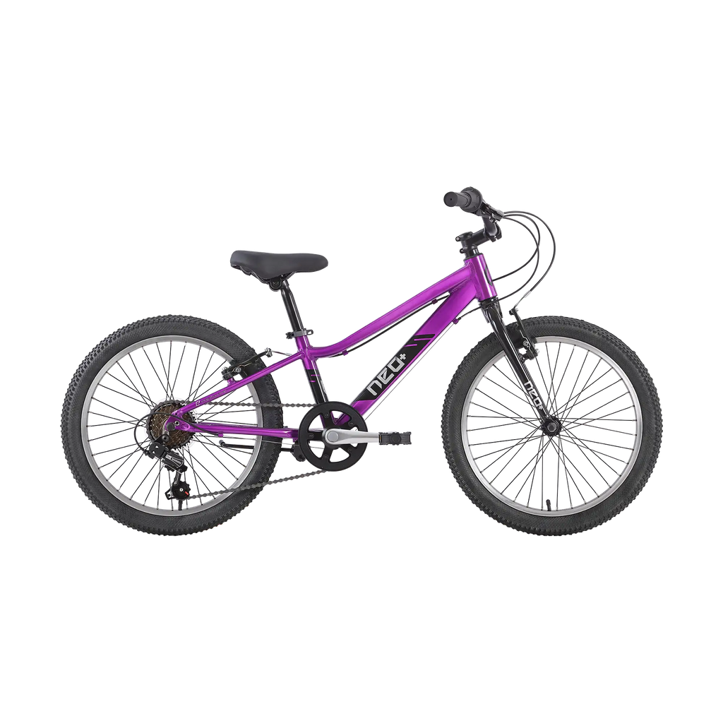 Neo+ 20 Girls 6 Speed 20" Bike - Chrome Purple