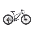 Neo Disc+ Kids 20" Mountain Bike - Brushed Alloy