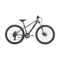 Neo Disc+ Boys 26" Mountain Bike - Chrome Sand
