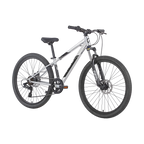 Neo Disc+ Boys 26" Mountain Bike - Brushed Alloy