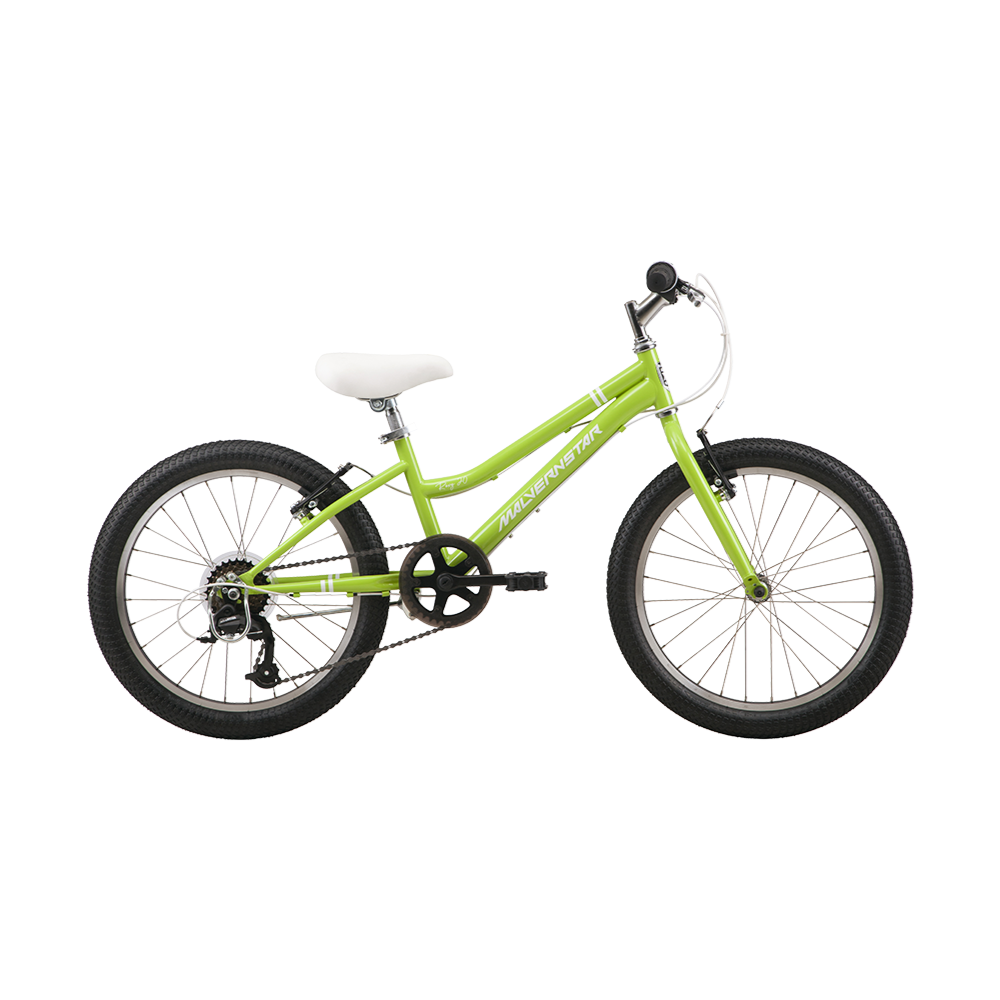 Malvern Star Roxy Girls 20" Bike - Apple Green