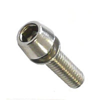 Stainless Steel M6 x 20mm Allen Key Type Stem Bolt (Sold Individually)