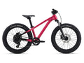 Liv STP Girls 20" Mountain Bike - Hot Pink