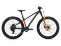Giant STP Boys 24" Mountain Bike- Black Chrome