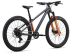Giant STP Boys 24" Mountain Bike- Black Chrome