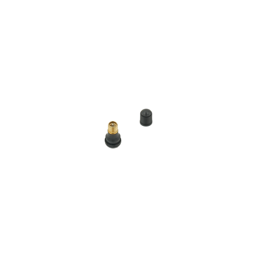 Segway-Ninebot Tubeless Valve Stem