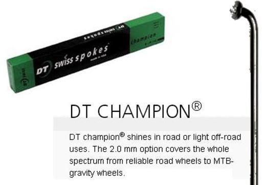 DT Champion 14G Stainless Steel J Hook Spoke - 256mm - Black (Single)