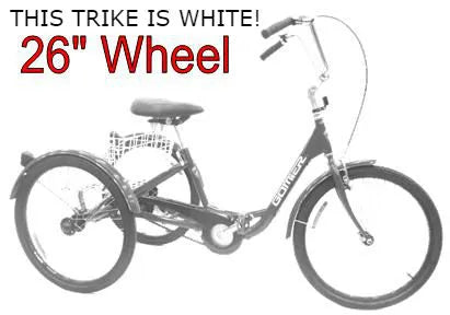 Gomier 2500 Series 26" Trike - Shimano Nexus Coaster - Clean White