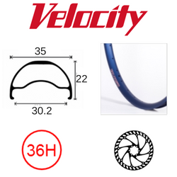 Velocity Blunt 35 29" Rim - 36H - Presta Valve - Disc Brake - D/W - Blue - Tubeless Ready